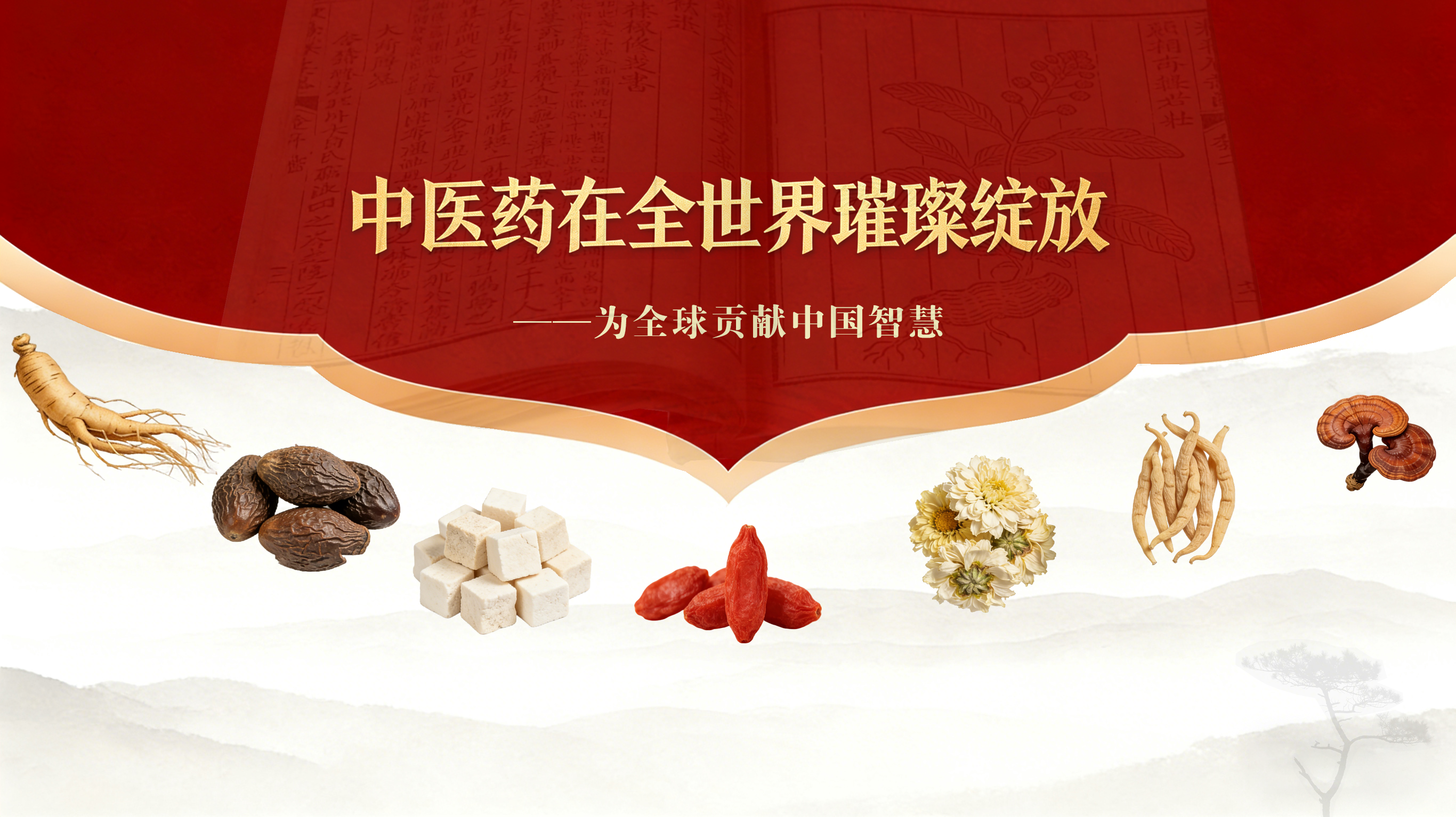 中醫(yī)藥在全世界璀璨綻放